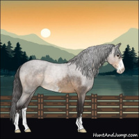 Horse Color:Buckskin Roan Mushroom Sabino 