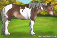 Horse Color:Liver Chestnut Tobiano