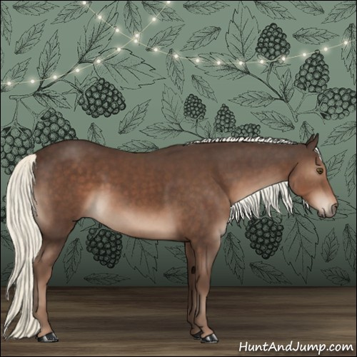 Horse Color:Liver Chestnut Mushroom 
