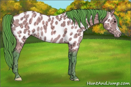 Horse Color:Watercolor Buckskin Ice Near Leopard