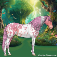 Horse Color:Watercolor Bay Tobiano Appaloosa Rabicano