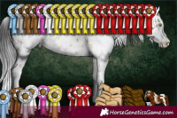 Horse Color:White Spotted Brown Dun Sabino