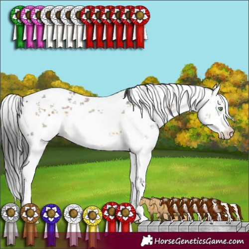 Horse Color:White Spotted Buckskin Dun Sabino 