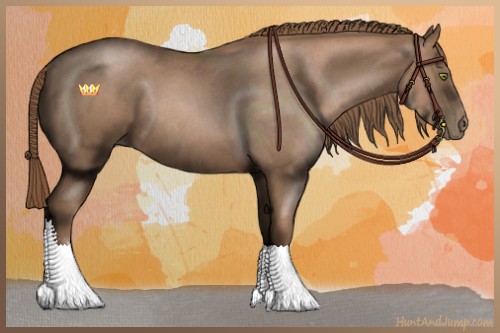 Horse Color:Liver Chestnut Pearl Sabino 