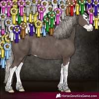 Horse Color:Silver Black Splash Rabicano