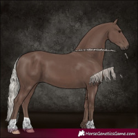 Horse Color:Silver Black 