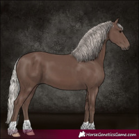 Horse Color:Silver Black 