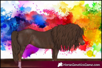 Horse Color:Liver Chestnut Sabino Rabicano 