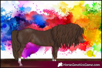 Horse Color:Liver Chestnut Sabino Rabicano 