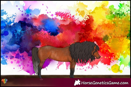 Horse Color:Bay Rabicano 