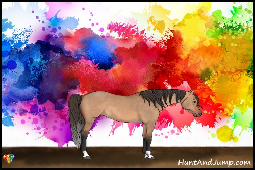 Horse Color:Bay Dun