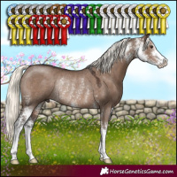 Horse Color:Liver Red Dun Mushroom Sabino Rabicano 