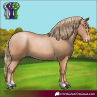 Horse Color:Chestnut Pearl