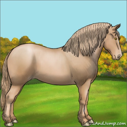 Horse Color:Chestnut Pearl