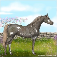 Horse Color:White Spotted Chocolate Palomino Ice 