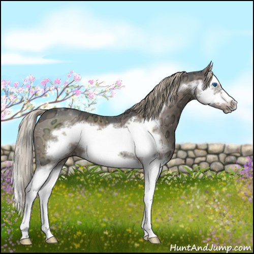 Horse Color:Liver Red Dun Ice Sabino Splash Frame