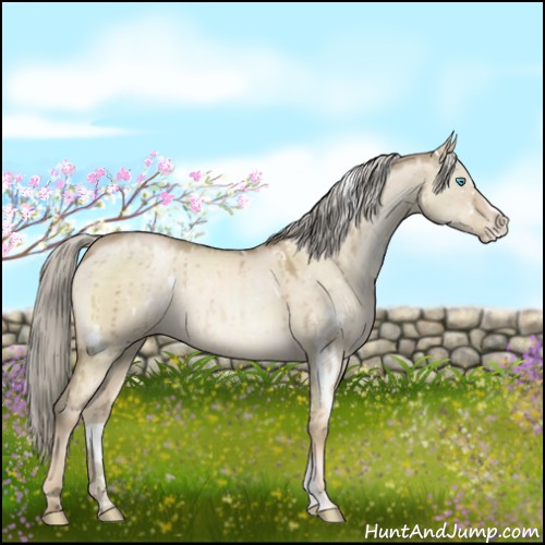 Horse Color:White Spotted Chocolate Palomino Pearl Dun Sabino