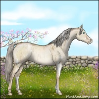 Horse Color:White Spotted Chocolate Palomino Pearl Dun Sabino 