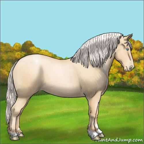 Horse Color:Silver Classic Champagne Roan Pearl 