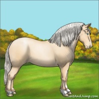 Horse Color:Silver Classic Champagne Roan Pearl