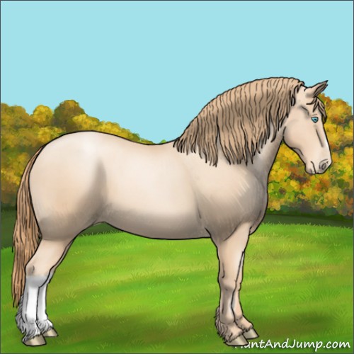 Horse Color:Gold Champagne Pearl 