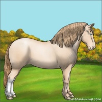 Horse Color:Gold Champagne Pearl 
