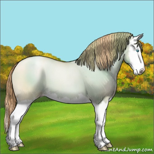 Horse Color:Gold Champagne Pearl Dun Splash 