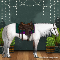 Horse Color:Gray Bay Roan Tobiano 