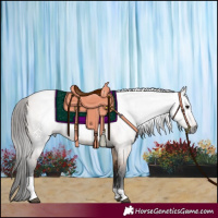 Horse Color:Gray Bay Roan Dun Tobiano 