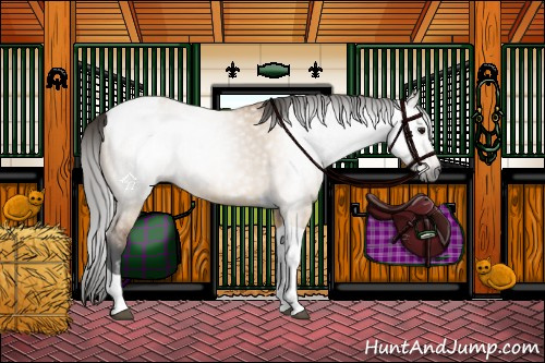 Horse Color:Gray Bay Dun Tobiano 