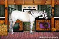 Horse Color:Gray Bay Dun Tobiano 