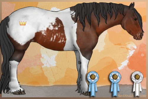 Horse Color:Bay Tobiano Snowcap 