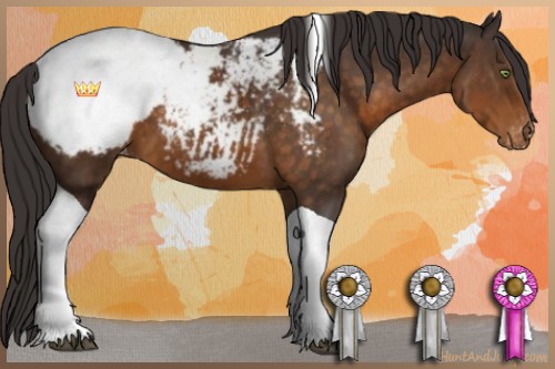 Horse Color:Buckskin Tobiano Snowcap 