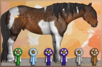 Horse Color:Buckskin Tobiano