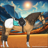 Horse Color:Buckskin Snowcap 