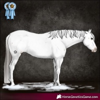 Horse Color:Bay Sabino 