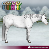 Horse Color:Brown Sabino 