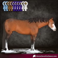 Horse Color:Bay Sabino 