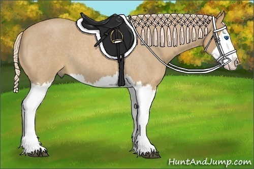 Horse Color:Palomino Roan Splash 