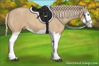 Horse Color:Palomino Roan Splash 