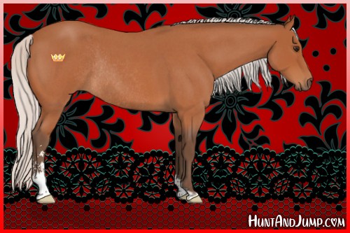 Horse Color:Silver Bay Roan Sabino Rabicano