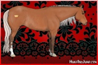 Horse Color:Silver Bay Roan Sabino Rabicano