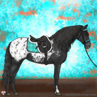 Horse Color:Black Appaloosa