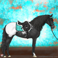 Horse Color:Black Appaloosa