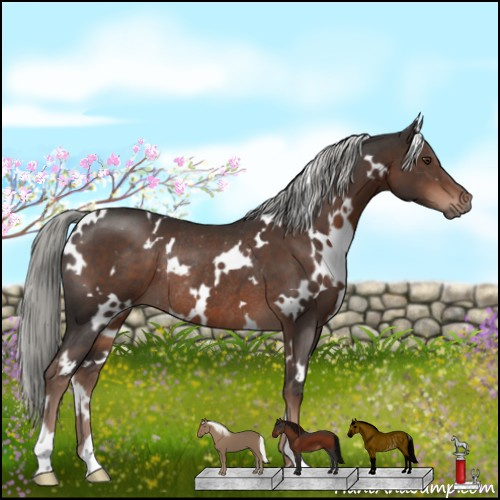 Horse Color:White Spotted Liver Chestnut Mushroom Rabicano 