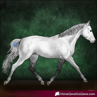 Horse Color:Gray Void Black 