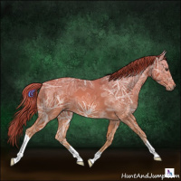 Horse Color:Chestnut Ice 
