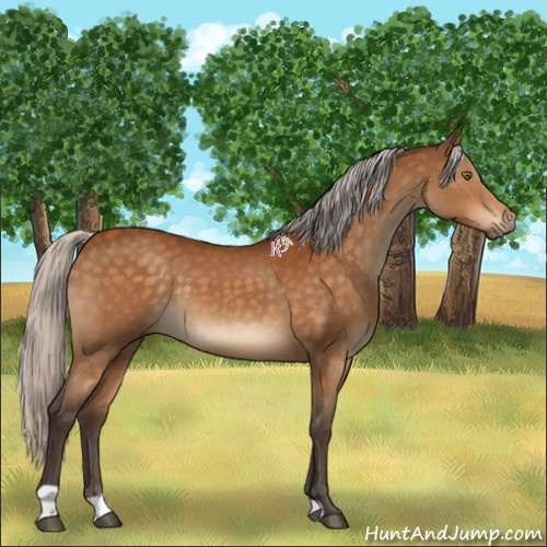 Horse Color:Silver Buckskin 