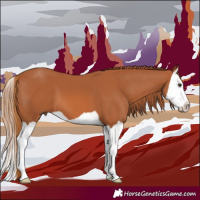 Horse Color:Chestnut Splash 