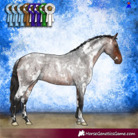 Horse Color:White Spotted Bay Roan